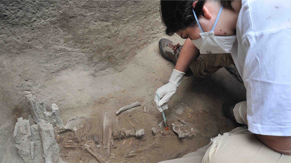 Person excavating site with gloves and mask